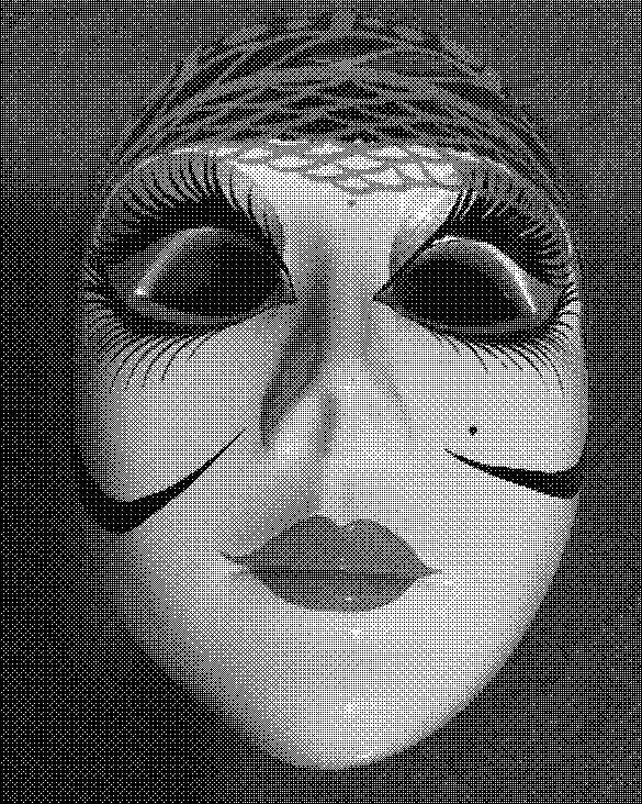Mask