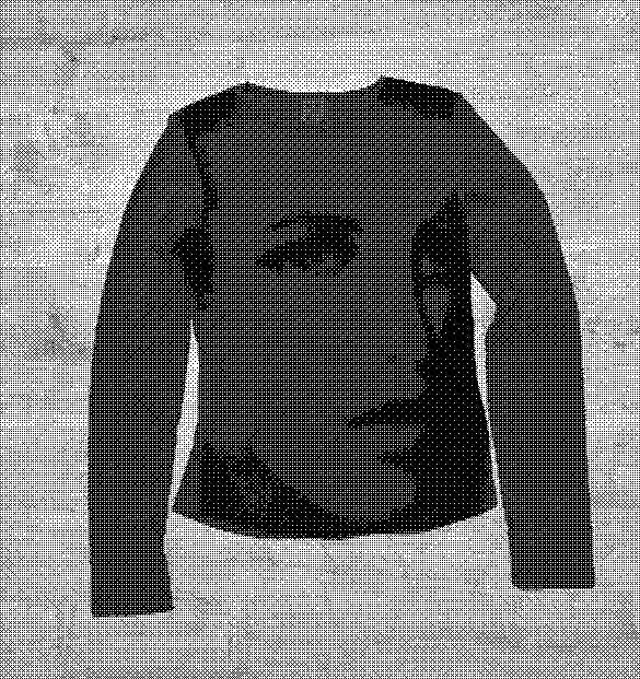 Longsleeve With Secrets